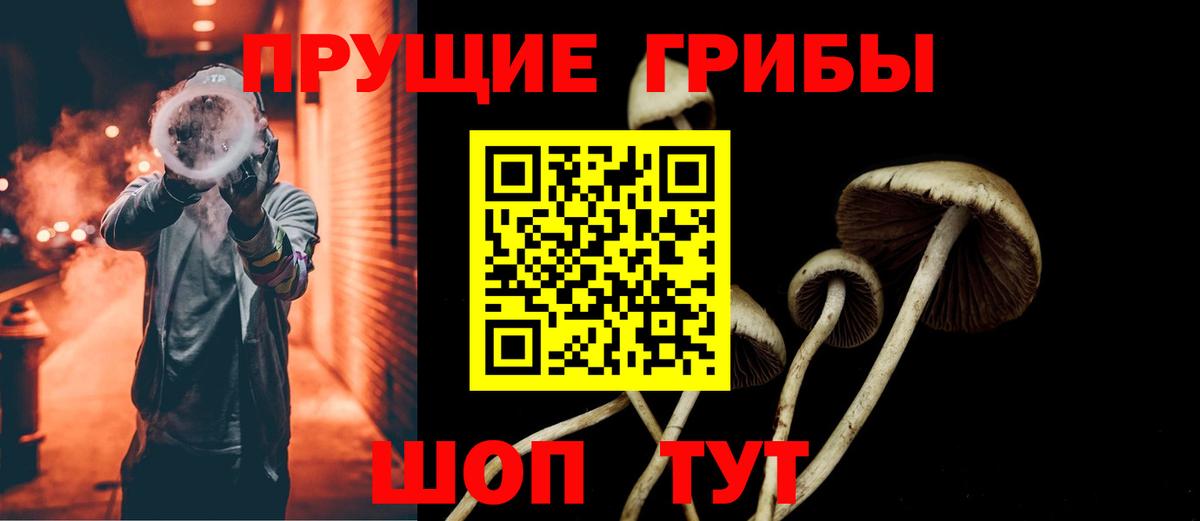 Павлово  Галлюциногенные грибы прущие грибы  Вход с VPN 