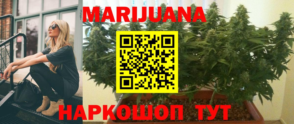 Бошки Шишки план Павлово